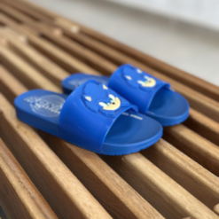 Chinela Sonic View Grendene