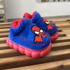 Alternative view of Pantufla Spider